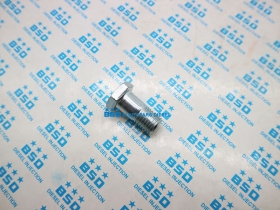 VE Pump Hollow Bolt 1 463 456 344